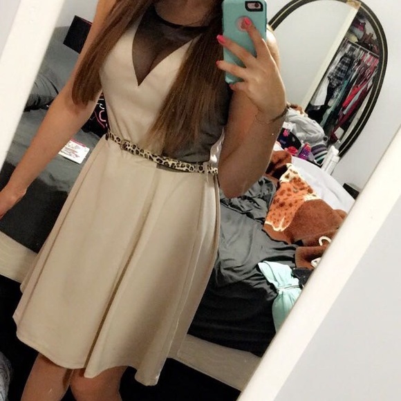 Dots tan, mesh dress with cheetah print belt - Picture 4 of 4